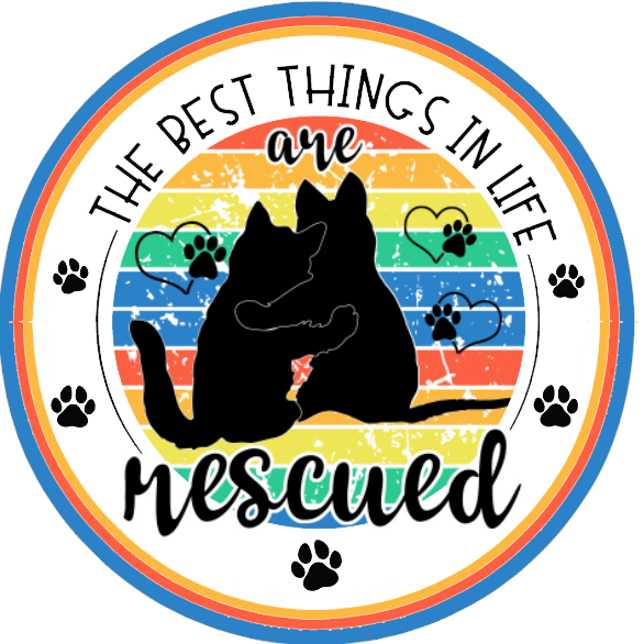 Black cat silhouette, rainbow colors, and text 'The best things in life are rescued'