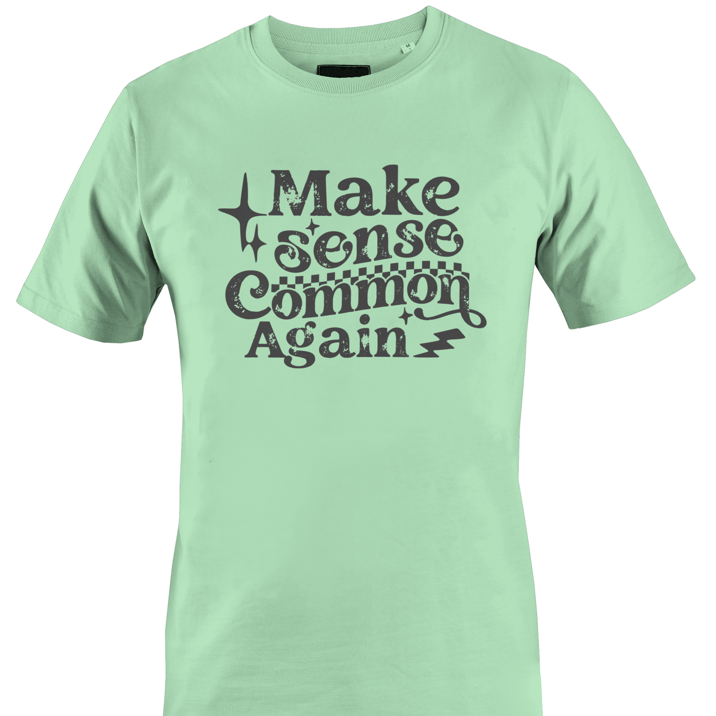 Mint green t-shirt with text 'Make sense Common Again' by Monkey's Creations