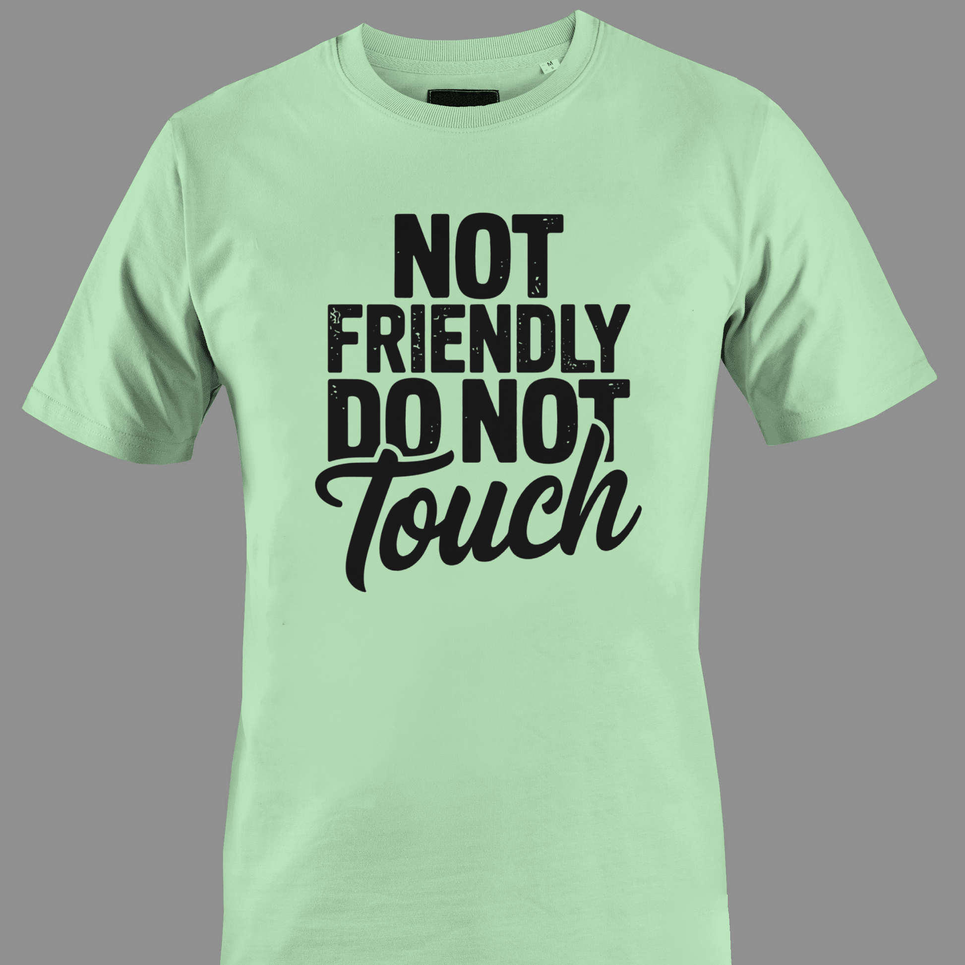 Light green t-shirt with black text 'Not Friendly Do Not Touch' 