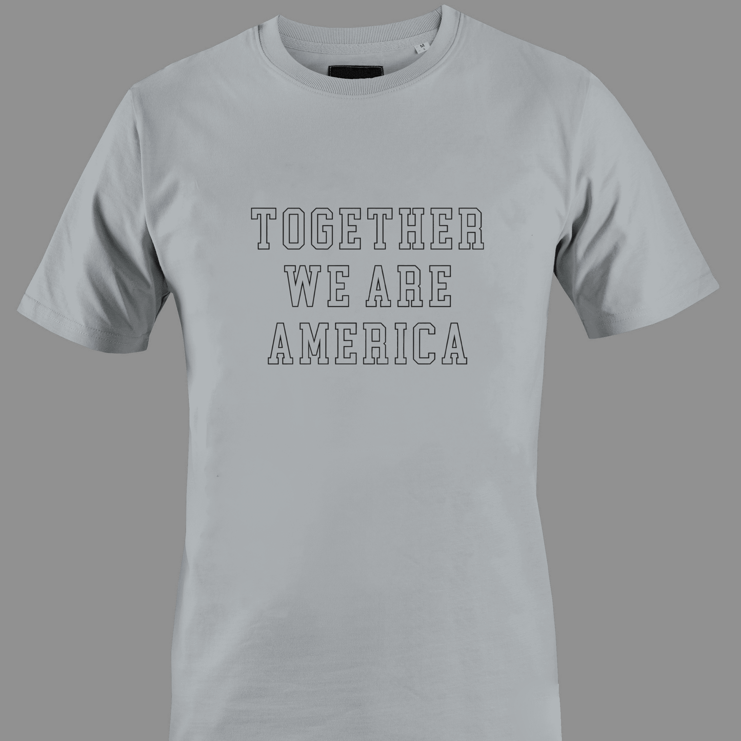 Light gray t-shirt with 'TOGETHER WE ARE AMERICA' text