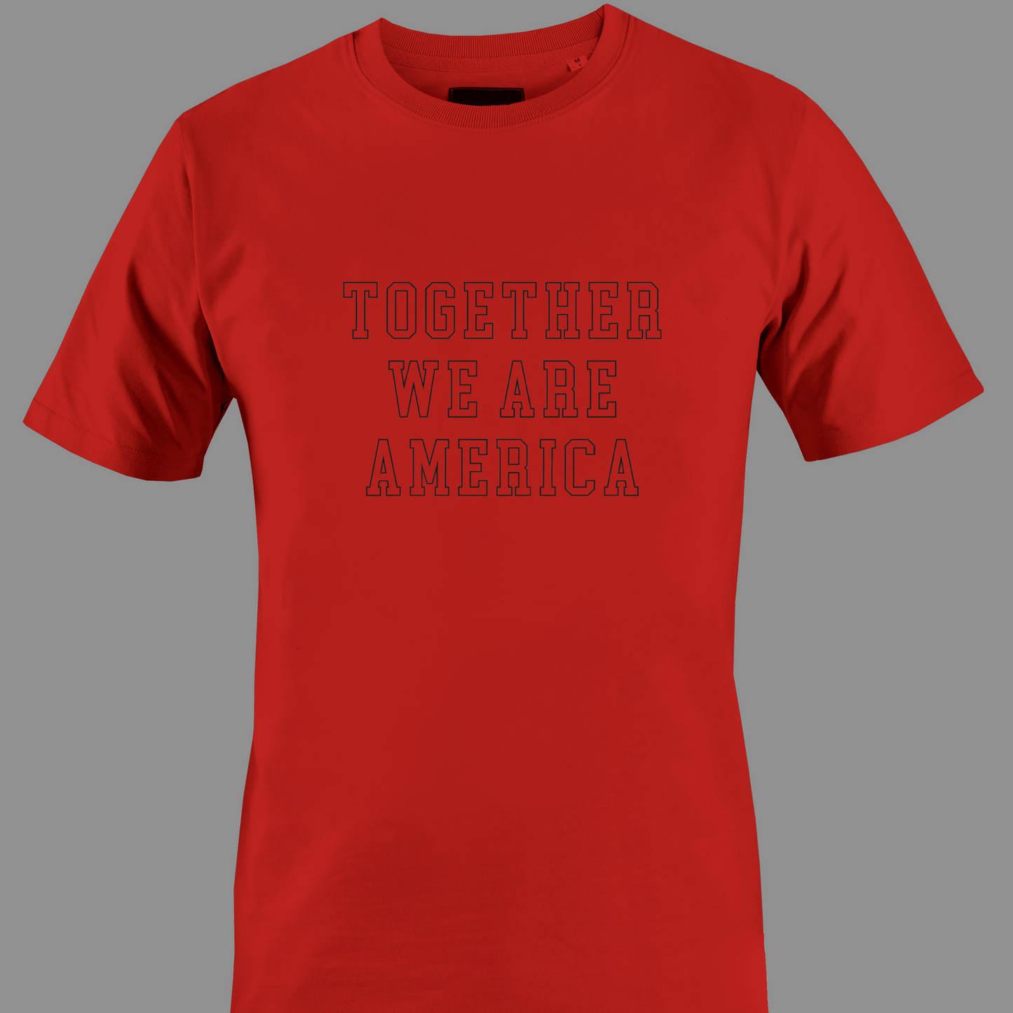 Red t-shirt with 'TOGETHER WE ARE AMERICA' text