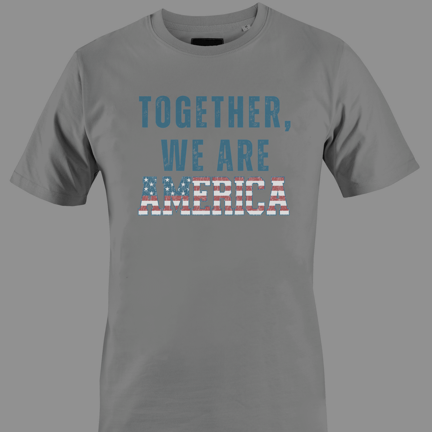 Gray t-shirt with 'TOGETHER WE ARE AMERICA' text in stars and stripes