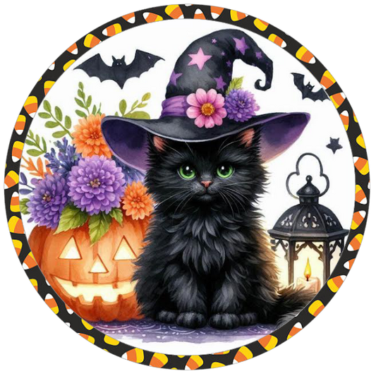 Halloween themed black cat in a witch hat, pumpkins, and flowers 