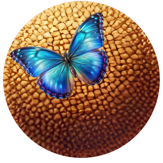 Close-up of a daisy head with light and dark beige pieces and a blue butterfly