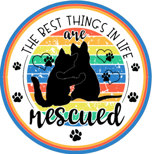 Black cat silhouette, rainbow colors, and text 'The best things in life are rescued' 