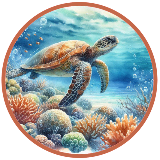 Sea turtle and coral reef under the water