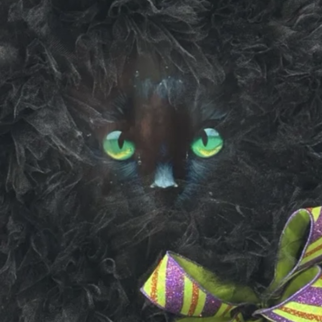 Halloween black cat face wreath with green, purple and orange bow, focus on the face