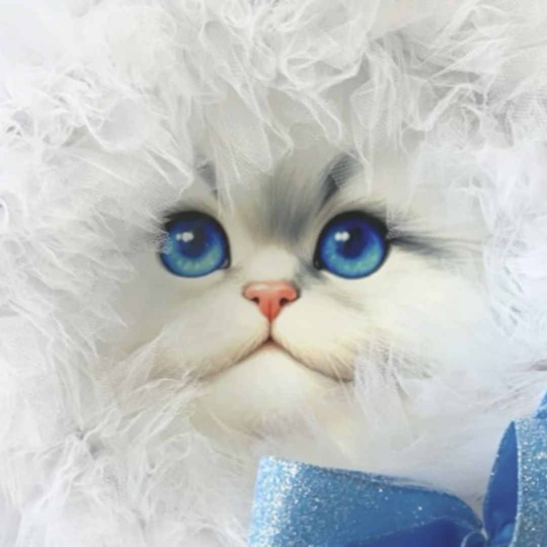 white cat face wreath with blue ribbon, focus on face